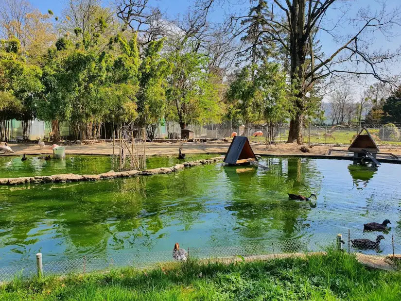 حديقة جنيف الشتوية والنباتية.webp