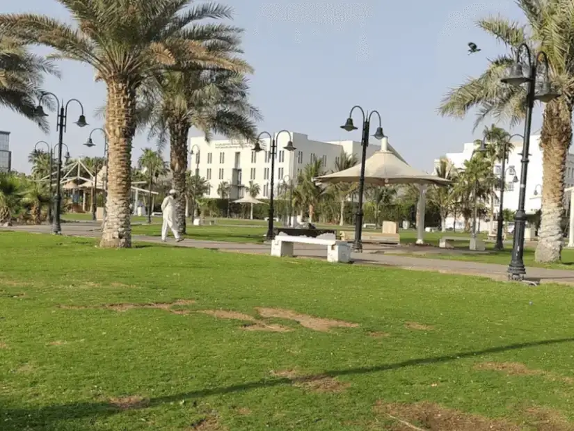 حديقة تهامة.webp