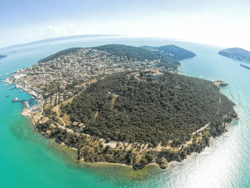 Aerial view of Heybeliada, an island with lush greenery and residential areas along the shore.