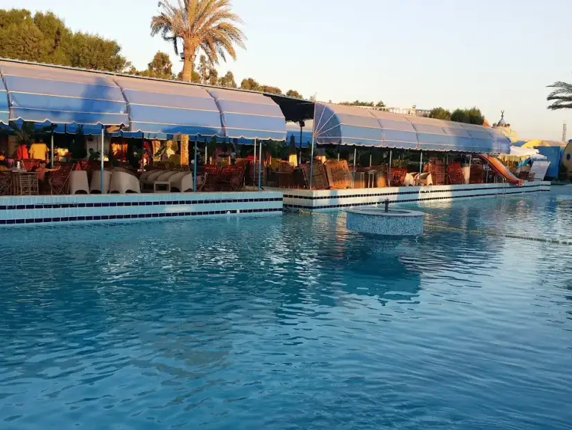 حمامات سباحة كبيرة.webp