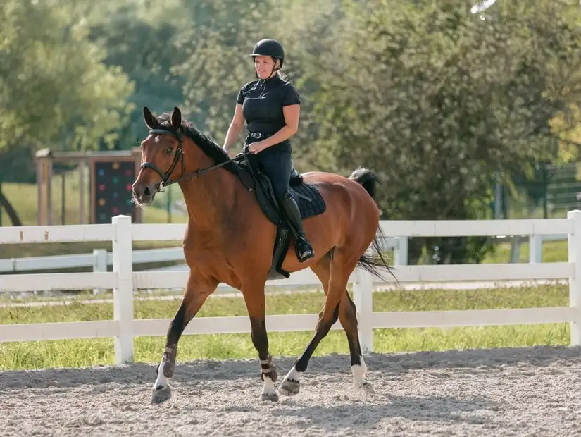 A rider practicing dressage in an outdoor arena.