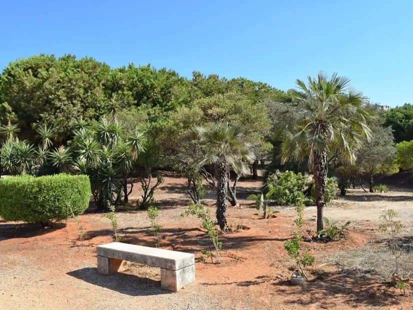 A stone bench in a peaceful park surrounded by trees and dry earth.