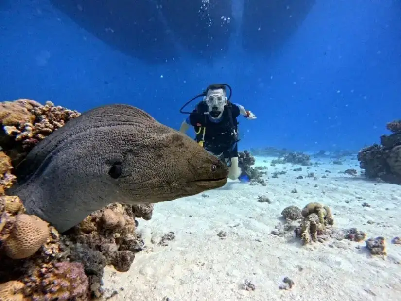 hurghada-egypt