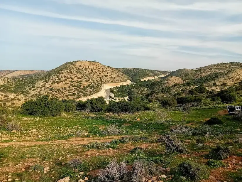 جبل الأخضر.jpg