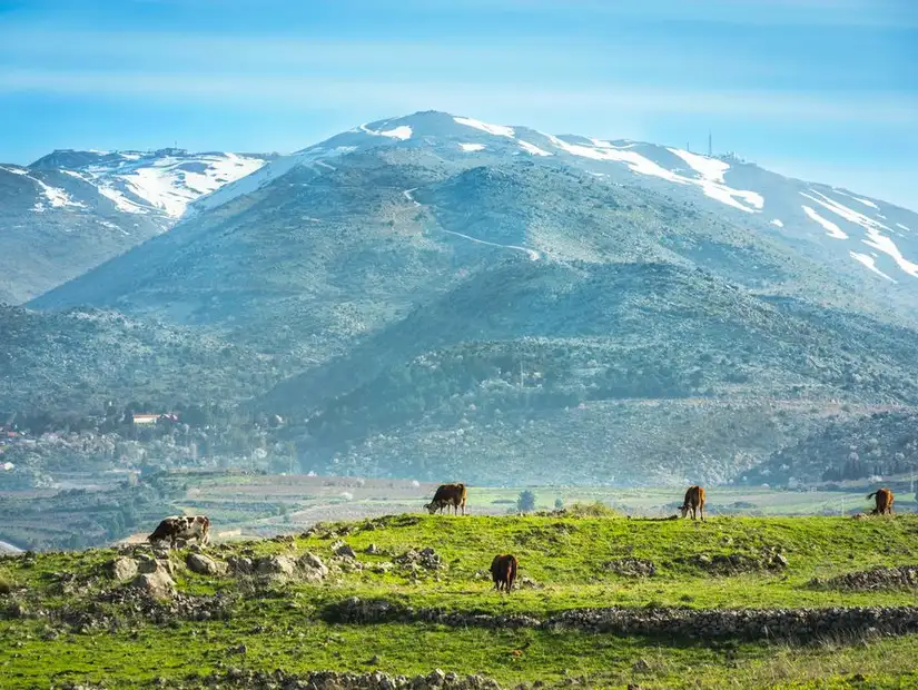 جبل الشيخ.jpg