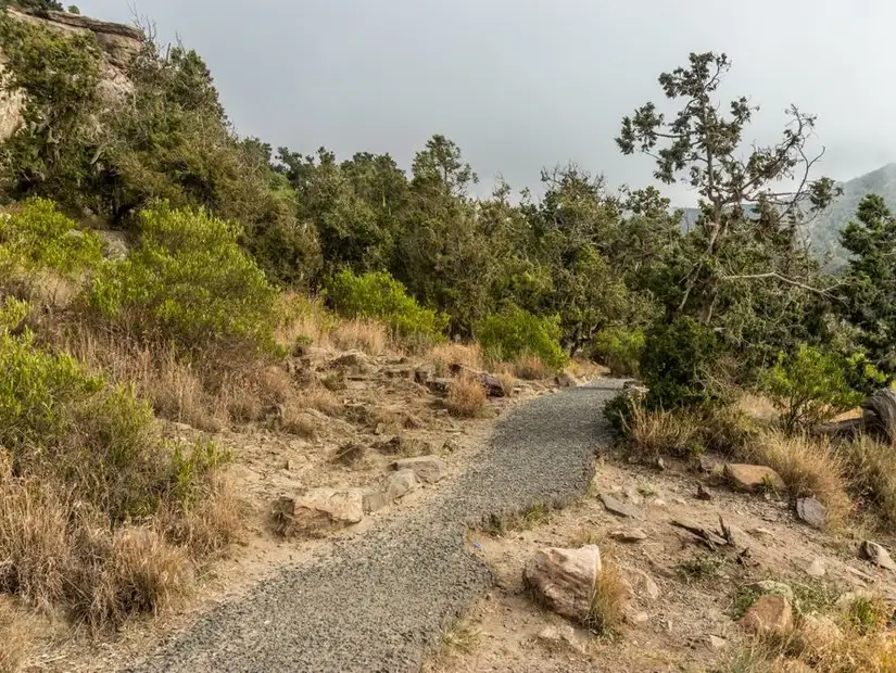 جبل السودة.jpg