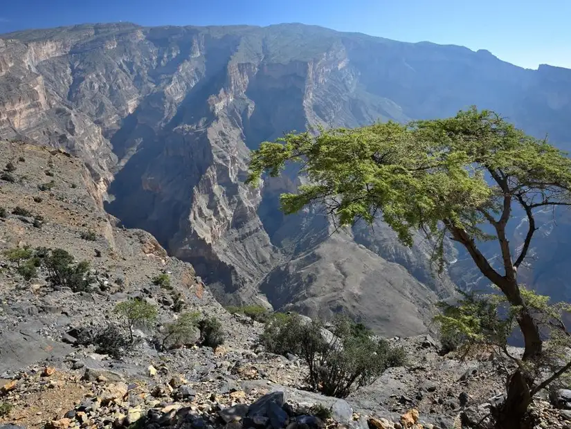 جبل شمس.jpg