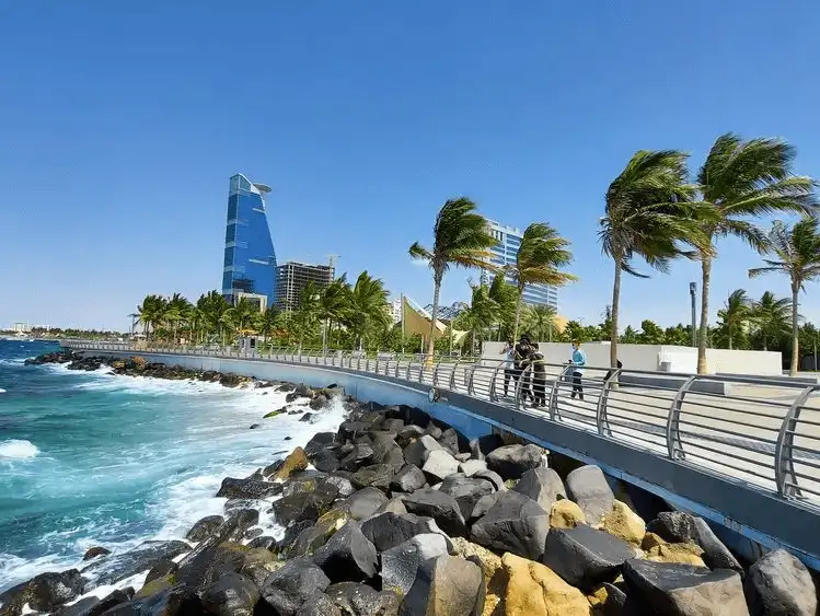 Sunny coastal pathway with rocks, ocean waves, and modern architecture in the backdrop.