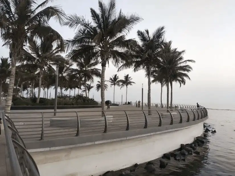 Oceanfront promenade lined with palm trees, offering a serene walkway by the sea.