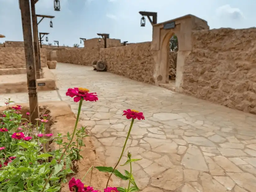 Traditional village pathway flanked by vibrant flowers and rustic stone walls.