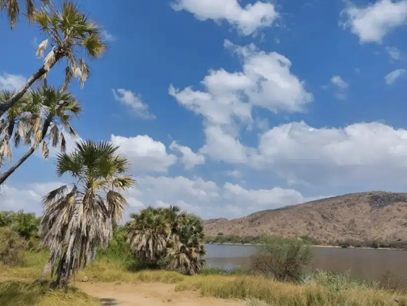 Tranquil lakeside setting surrounded by rugged mountains and lush palm trees.