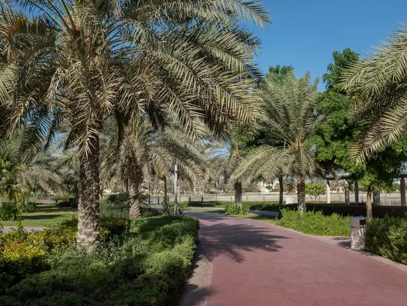 Modern, landscaped paths surrounded by greenery in JLT Park.