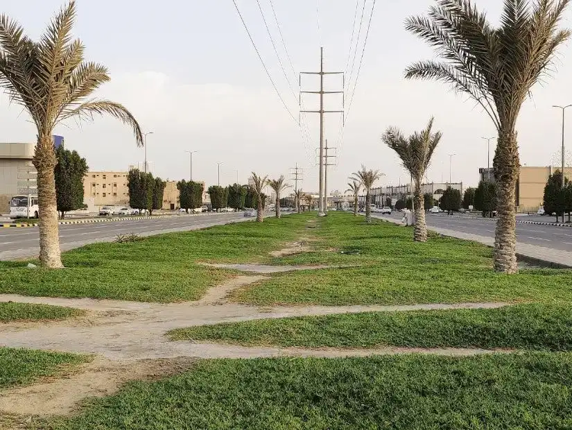 jubail5