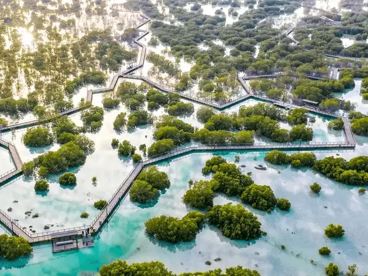 jubail_mangrove_park.jpg