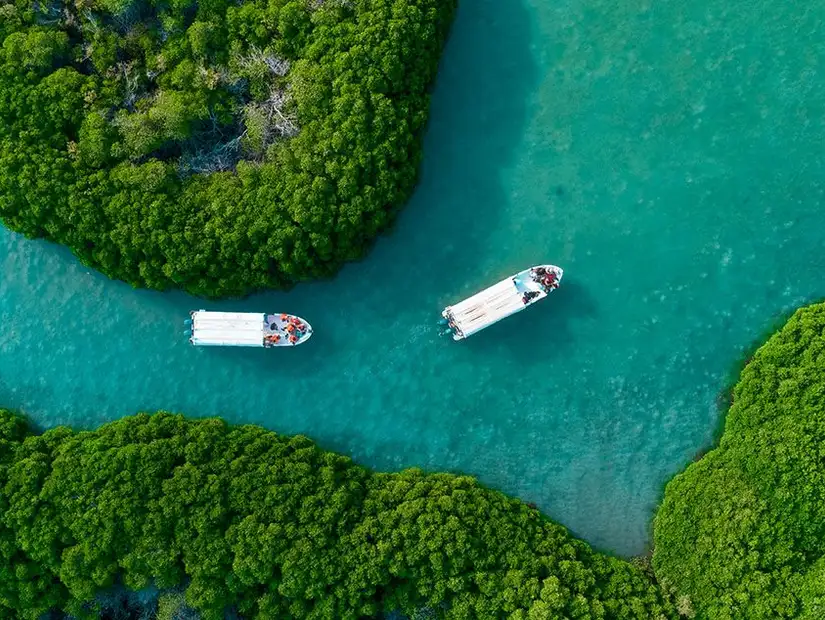 جزر فرسان.jpg