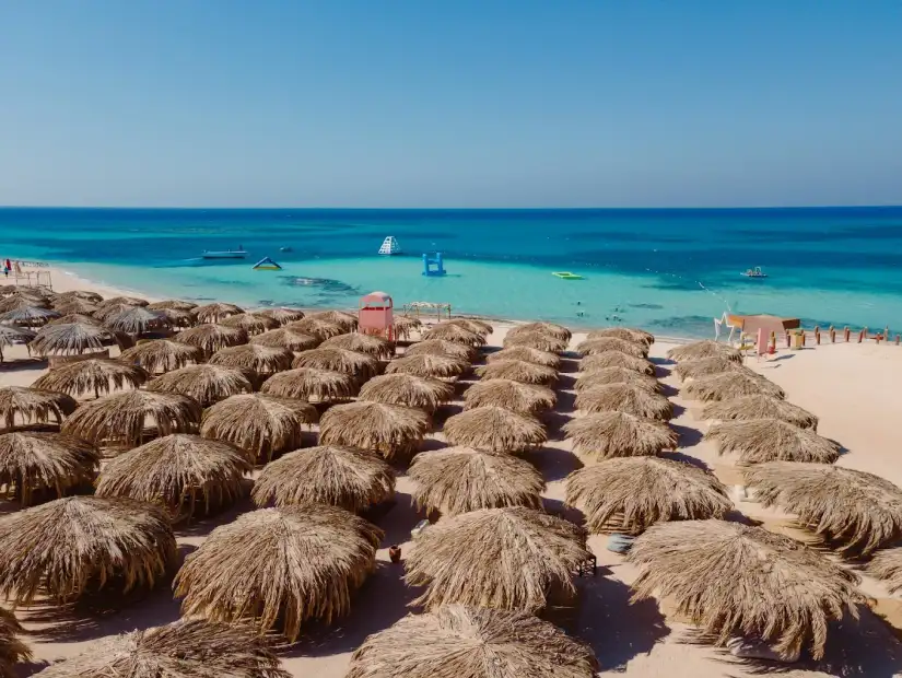 جزيرة الفردوس.webp