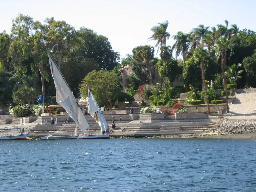 جزيرة النباتات (2).jpg