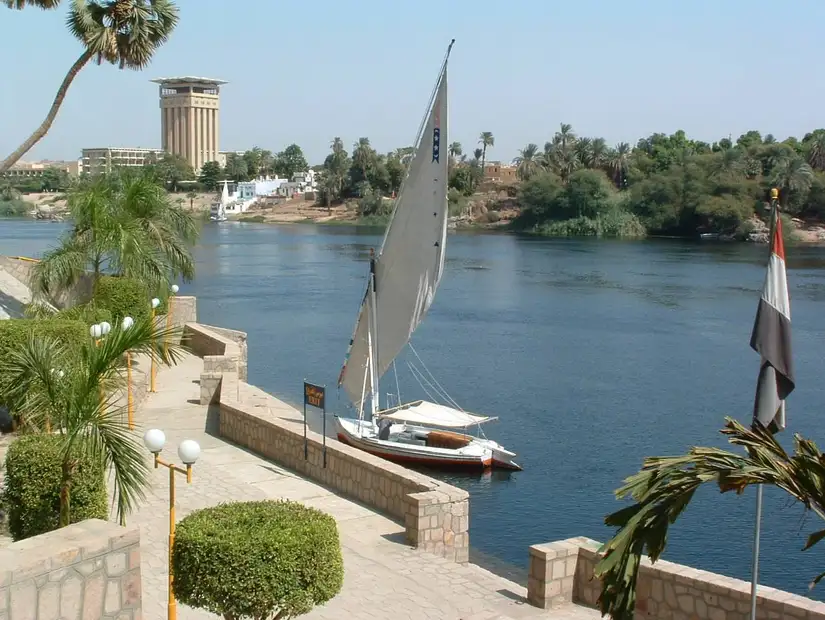 جزيرة النباتات.jpg