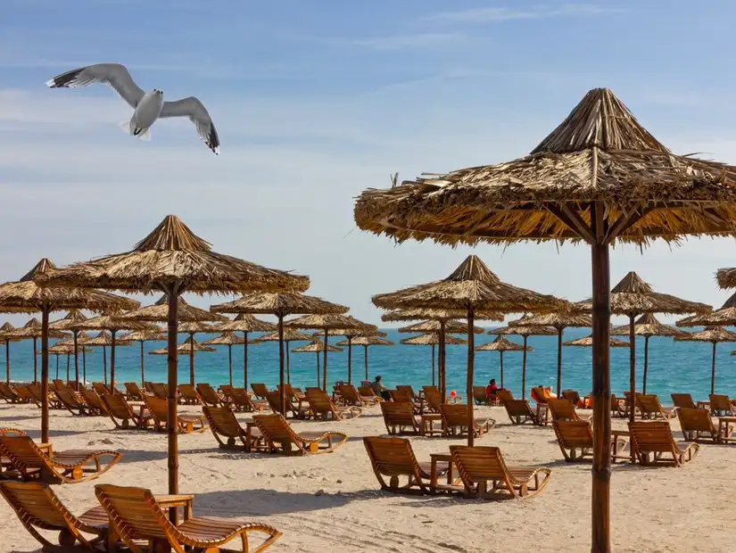 جزيرة ياس.jpg