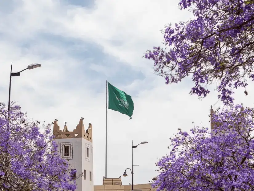 The Saudi Arabian flag flying high amidst jacaranda trees and traditional buildings.