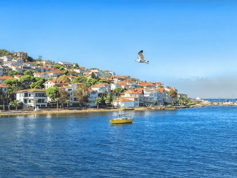 A scenic view of Kinaliada, one of the Princes' Islands, with its calm waters and greenery.