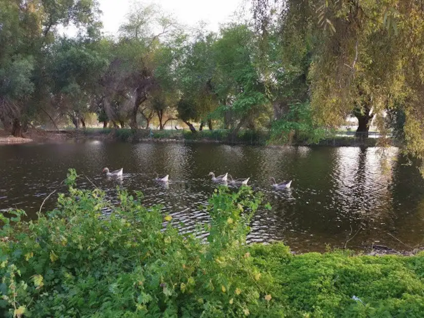 حديقة الأمير سلطان