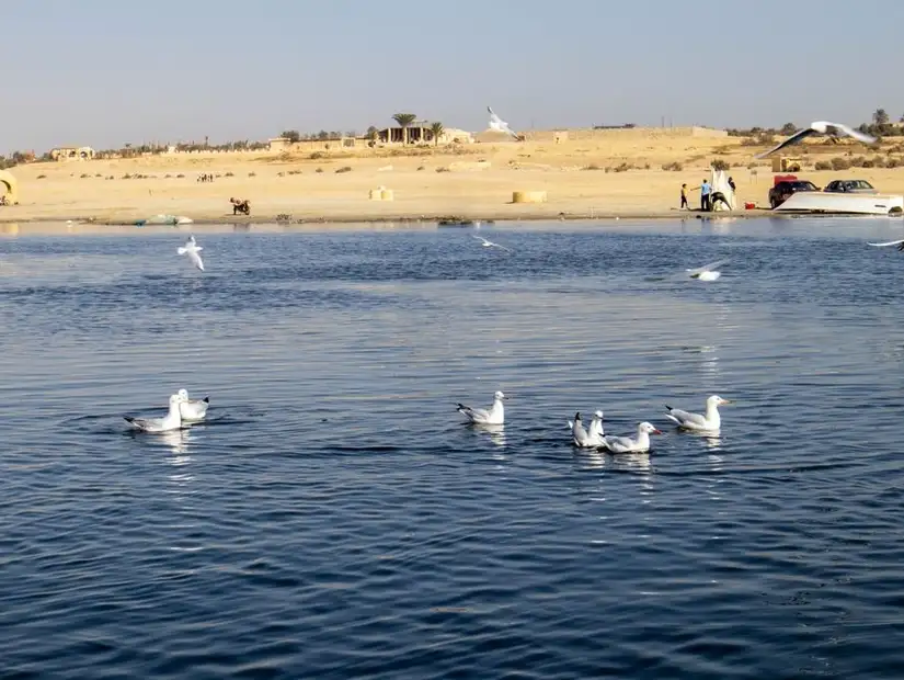 lake el rayan.jpg