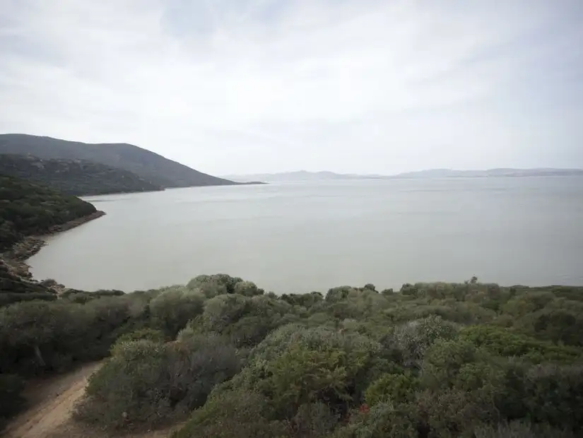 lake ichkeul.jpg