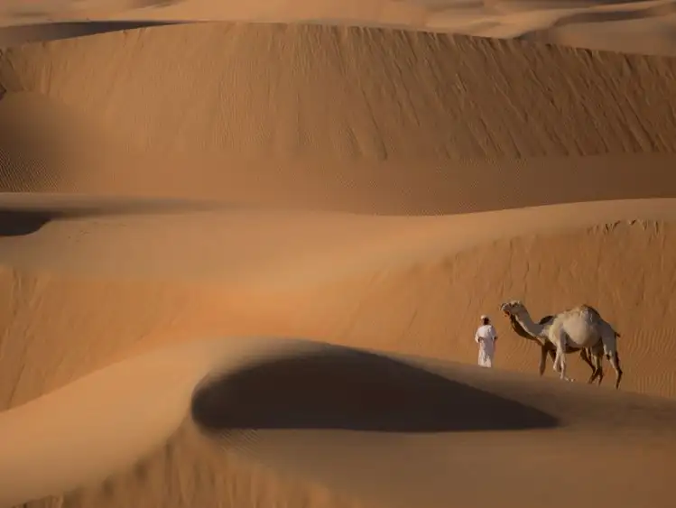 liwa-desert.jpg