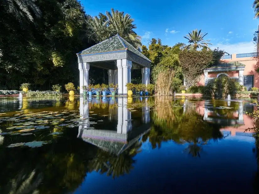 The tranquil Majorelle Garden, featuring exotic plants and vibrant blue structures.