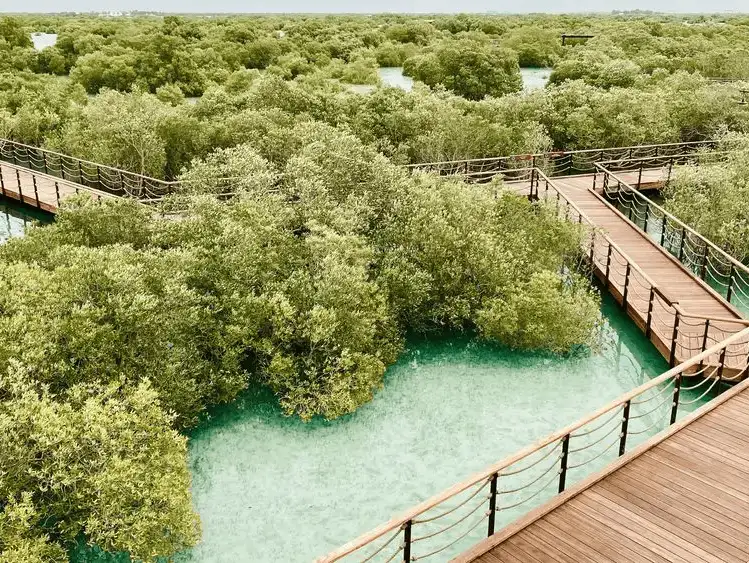 mangrove_national_park.jpg