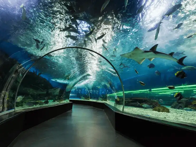 Underwater tunnel in an aquarium.