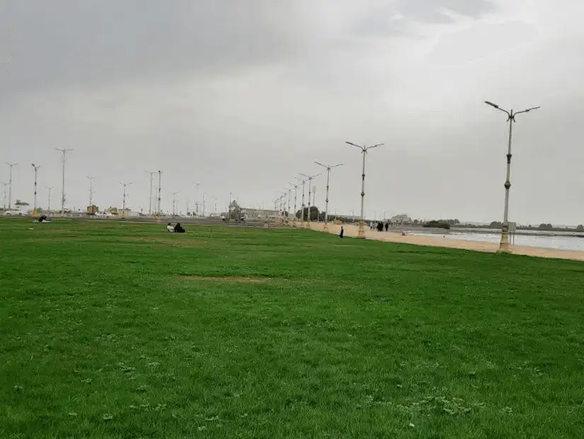 Wide green spaces along a wind turbine-lined walkway, ideal for leisurely strolls.