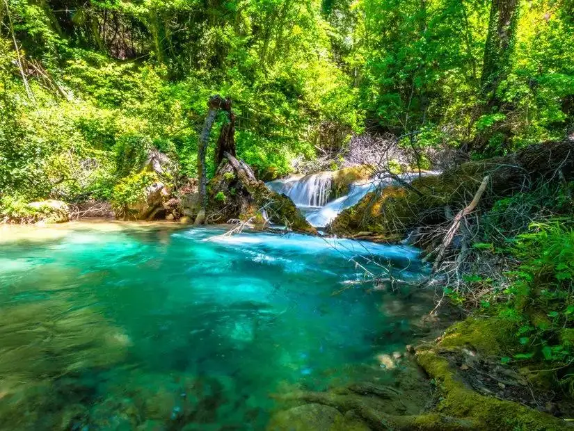 A tranquil spot within the Marmaris National Park, featuring lush greenery and flowing water.