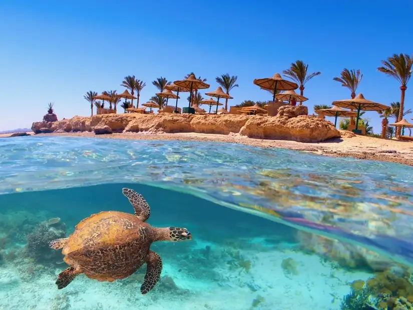 marsa-alam.jpg