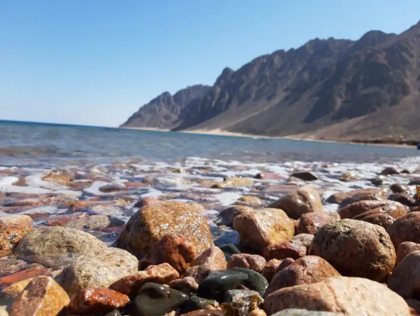 محمية أبو جالوم (3).webp