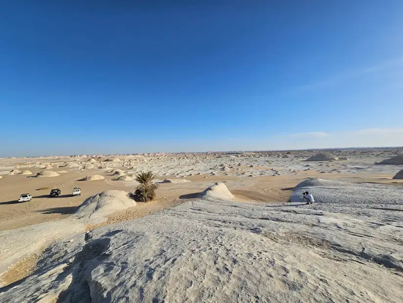 محمية الصحراء البيضاء.webp