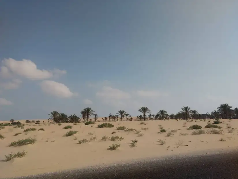 محمية الزرانيق.webp