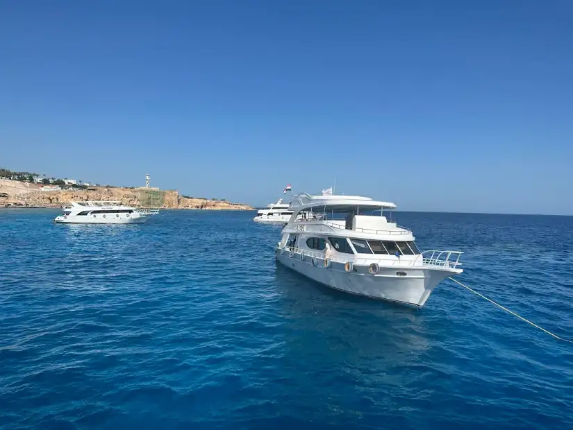 محمية راس محمد (3).webp