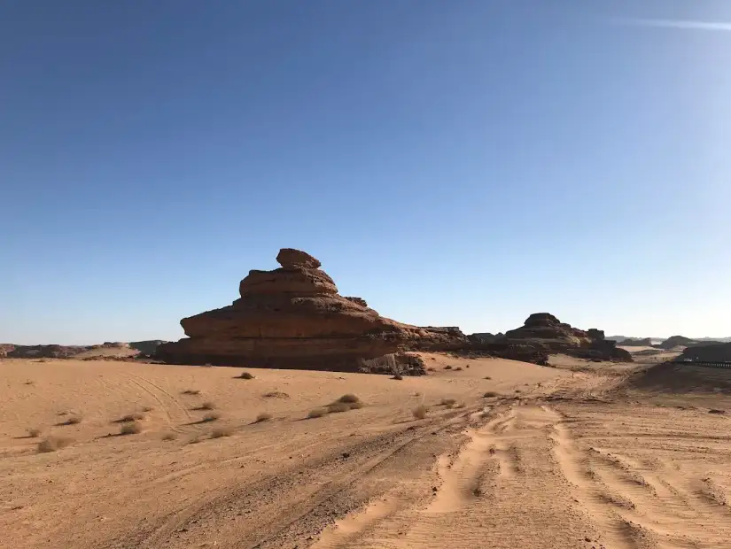 محمية شرعان.webp