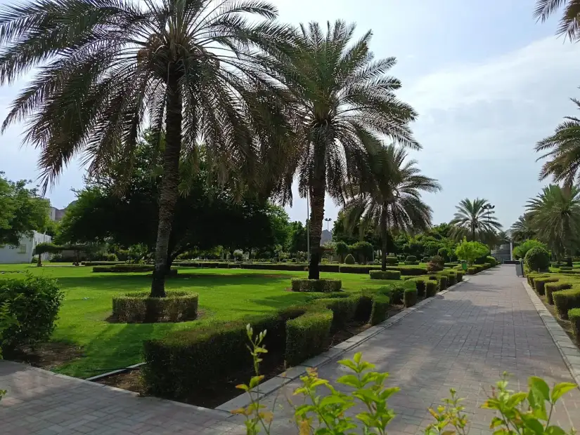 محمية وادي الكبير.webp