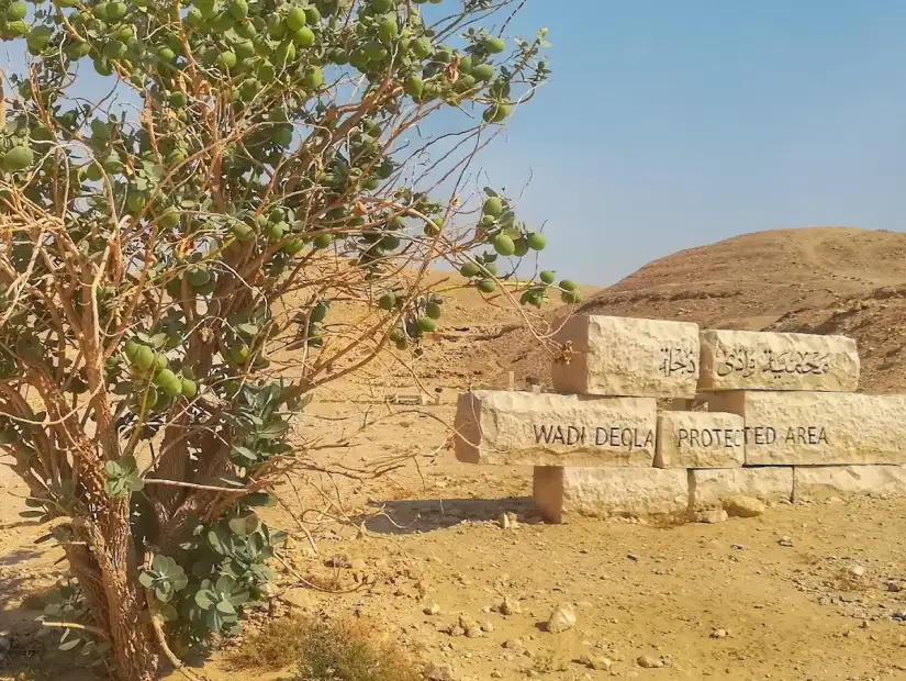 محمية وادي دجلة.webp