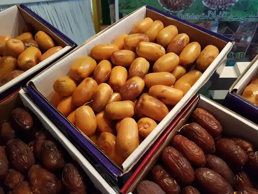 مهرجان التمور في أرفود.webp