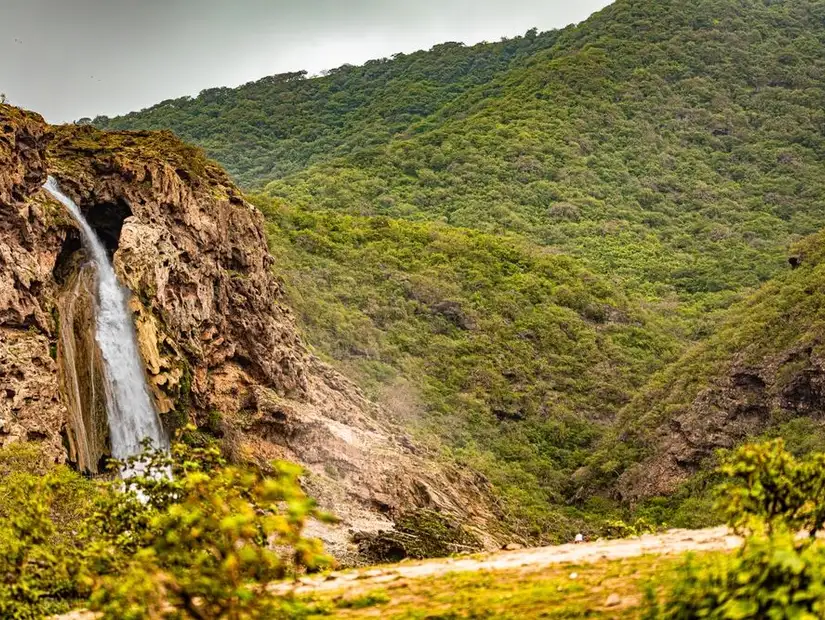 مهرجان خريف صلالة.jpg