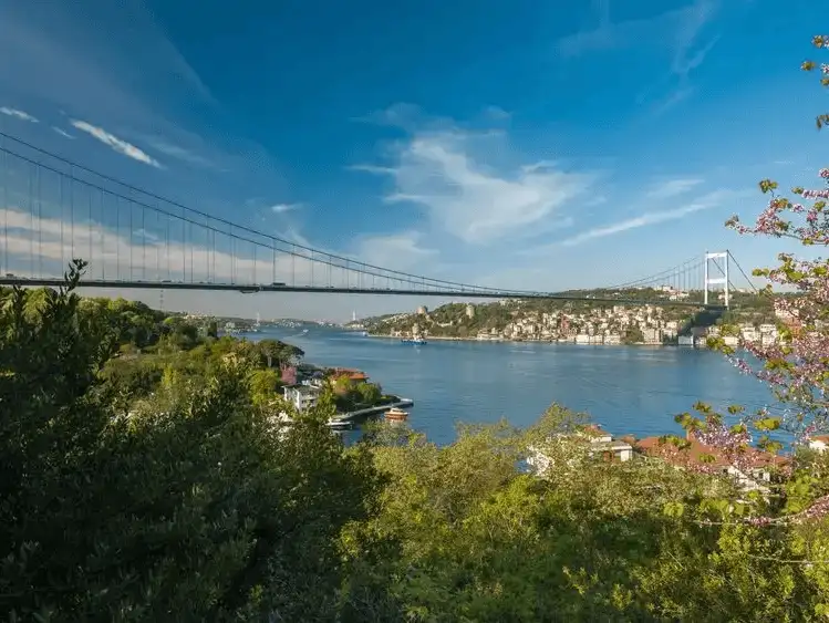 A tranquil park with lush greenery and panoramic views of the Bosphorus, offering a peaceful escape.