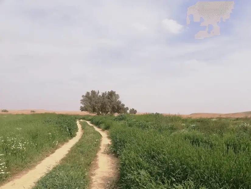 منطقة العويصي الطبيعية.png