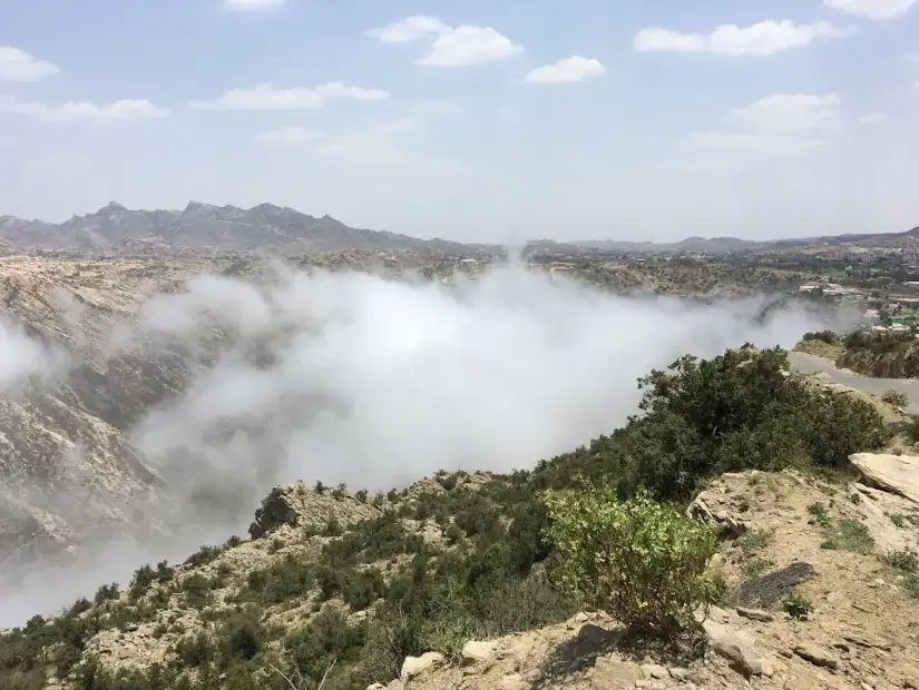 منتزه الحيفة.webp