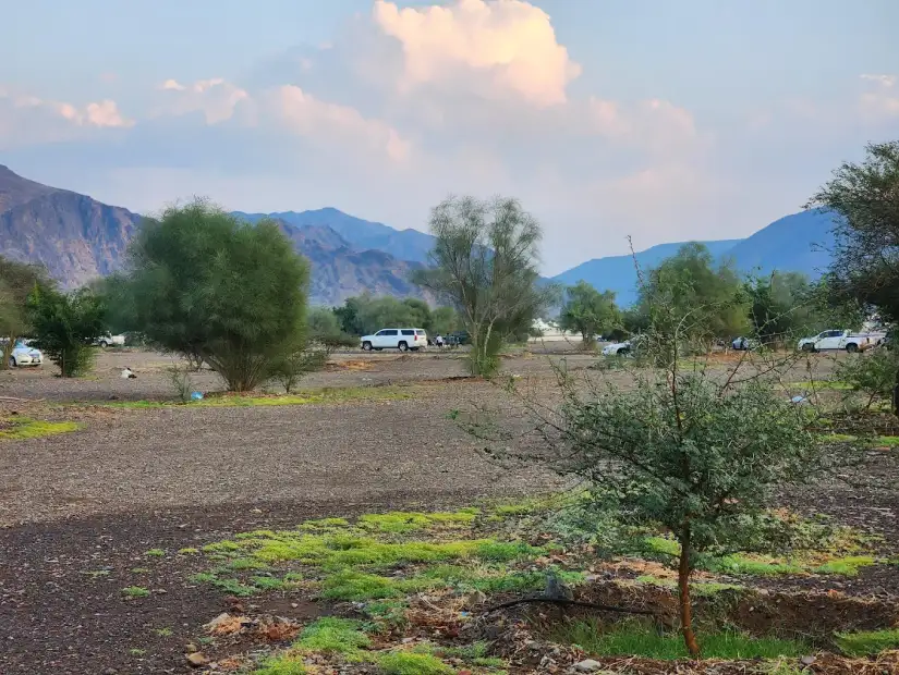 منتزه المدينة الوطني.webp
