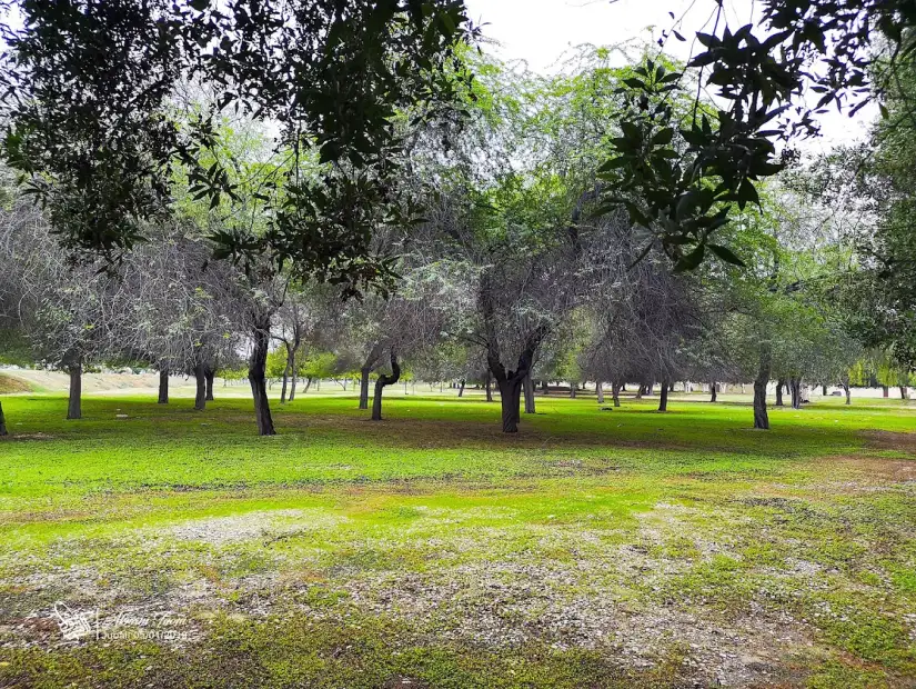 منتزه القناة المائية للترفيه.webp