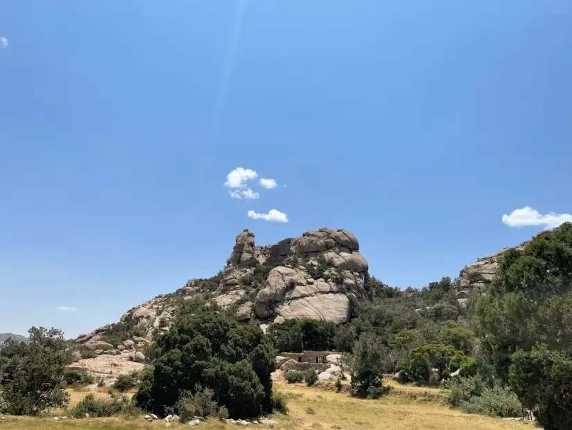 منتزه الشرف تنومه.webp